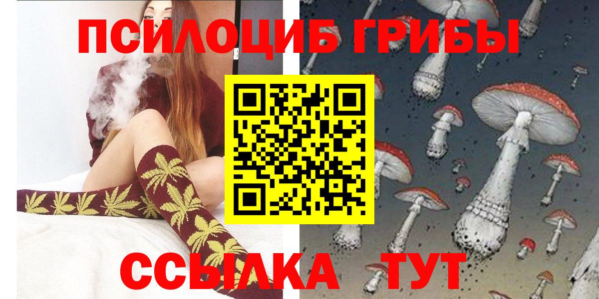 Киселёвск  Галлюциногенные грибы Cubensis  Вход с VPN  Псилоцибиновые грибы прущие грибы 